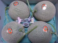 富良野やまべ産　秀品「キングルビー」4玉入