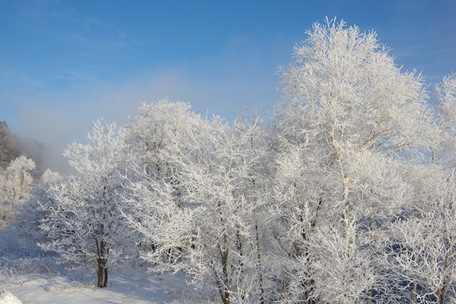 画像: 雪解け