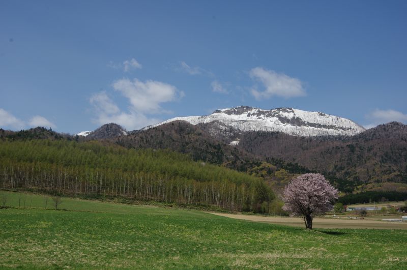 画像: 天候と気温